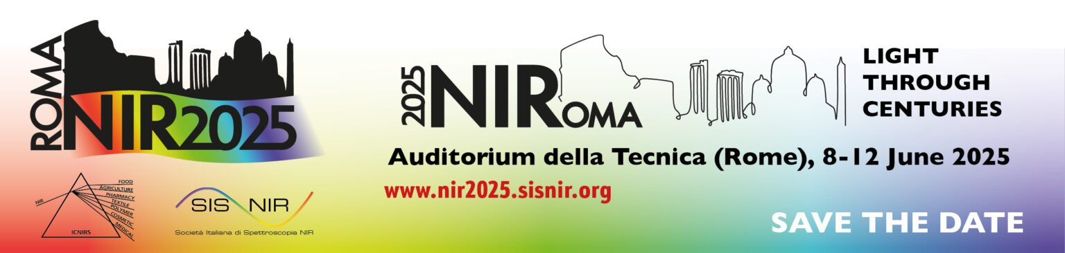 NIR2025 Roma banner