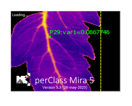 perClass Mira splashscreen